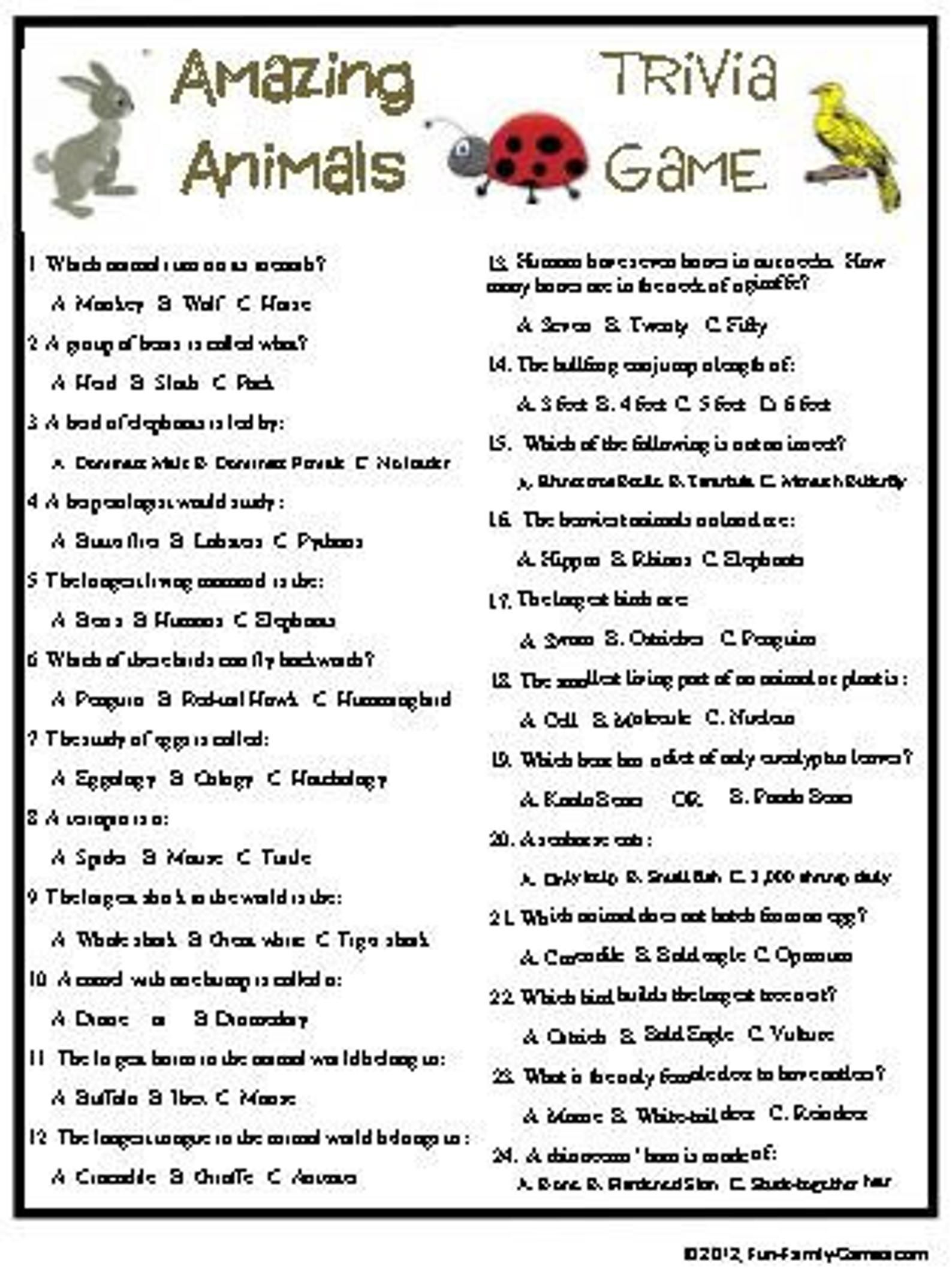 Amazing Animals Trivia Game Etsy Trivia Questions For Kids Trivia
