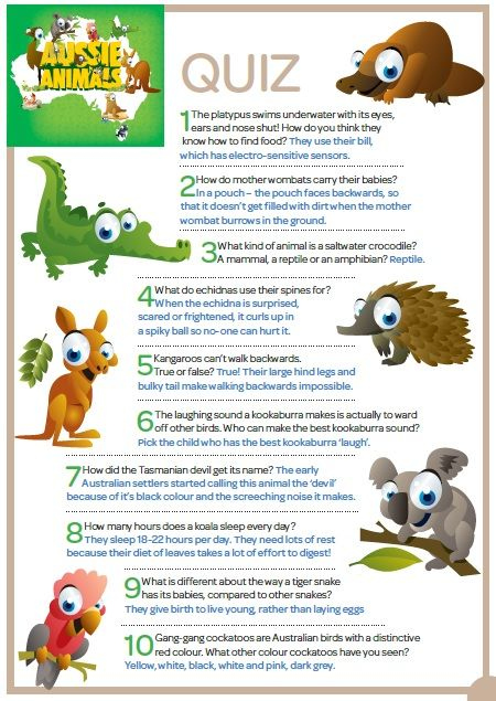 Aussie Animals Quiz Questions Answers Just Print Them Off Animal 