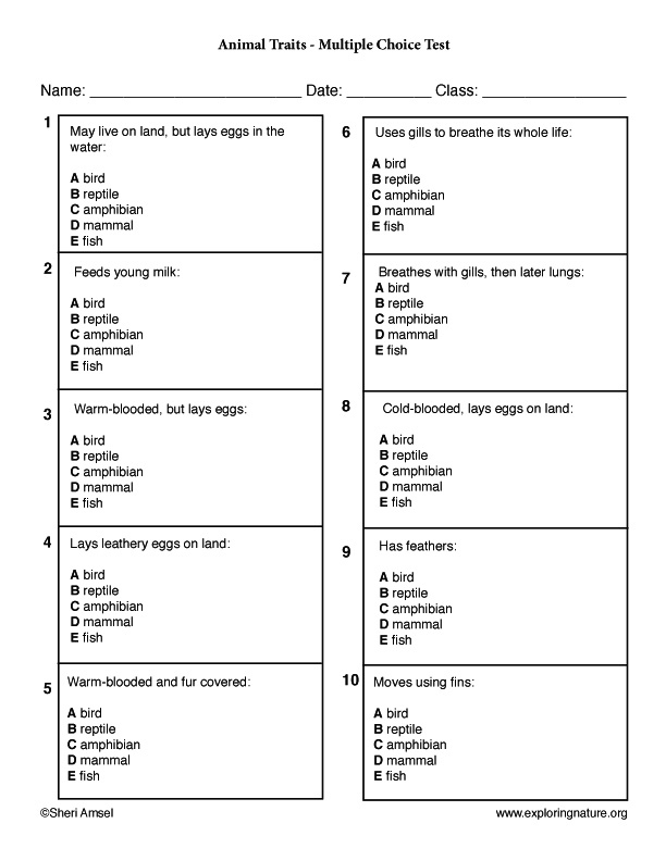 Easy Printable Multiple Choice Trivia Multiple Choice Trivia 