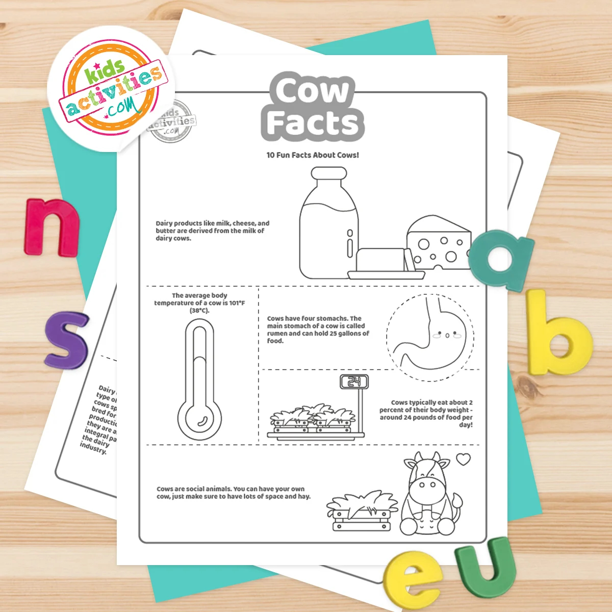 Cow Trivia Questions and Answers Printable