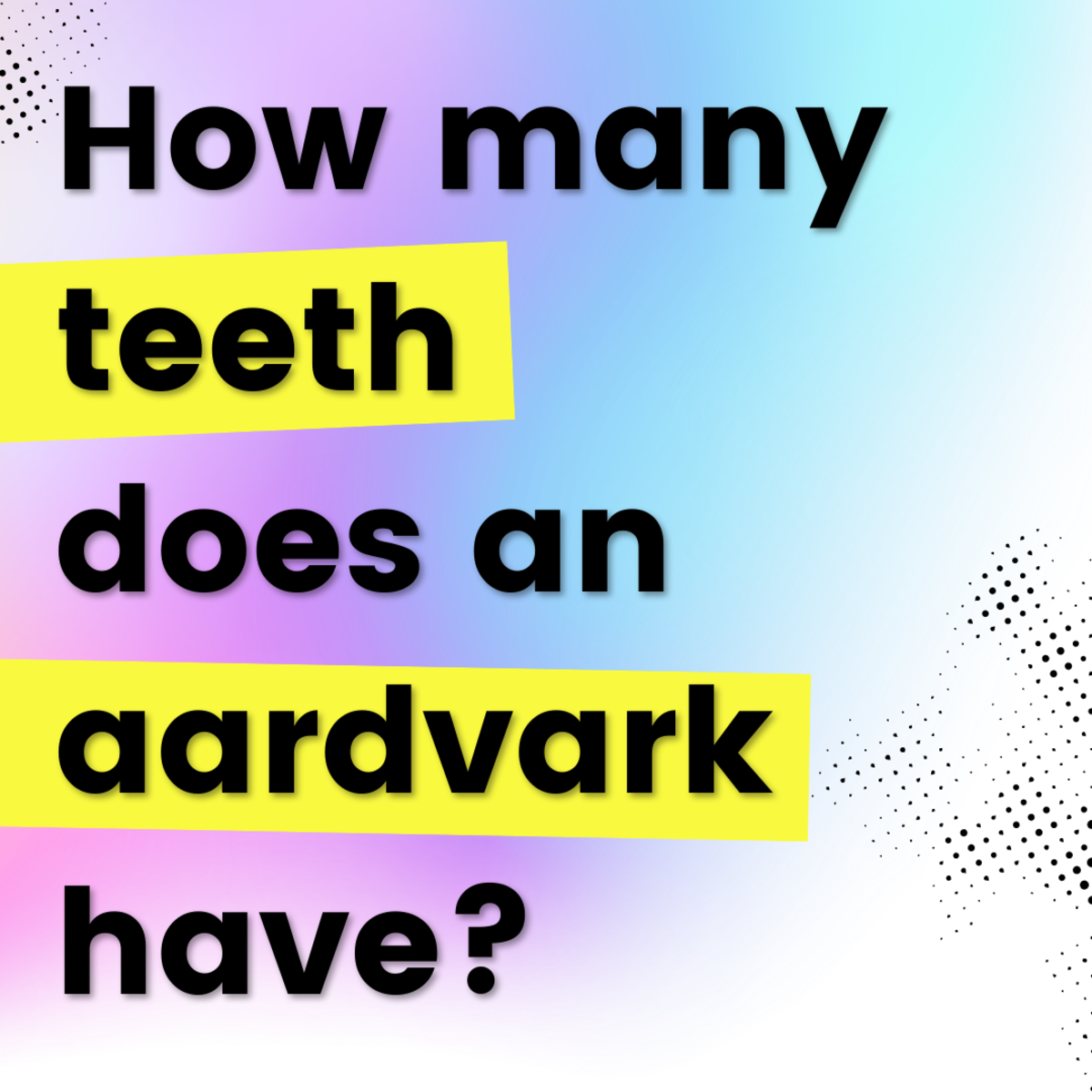 100 Fun General Knowledge Quiz Questions With Answers HobbyLark