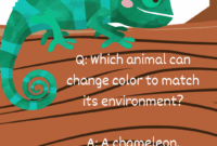 108 Animal Trivia Questions For Kids And Adults with Answers
