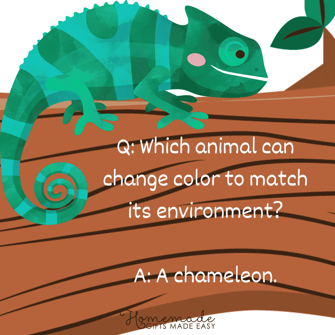 108 Animal Trivia Questions For Kids And Adults with Answers 