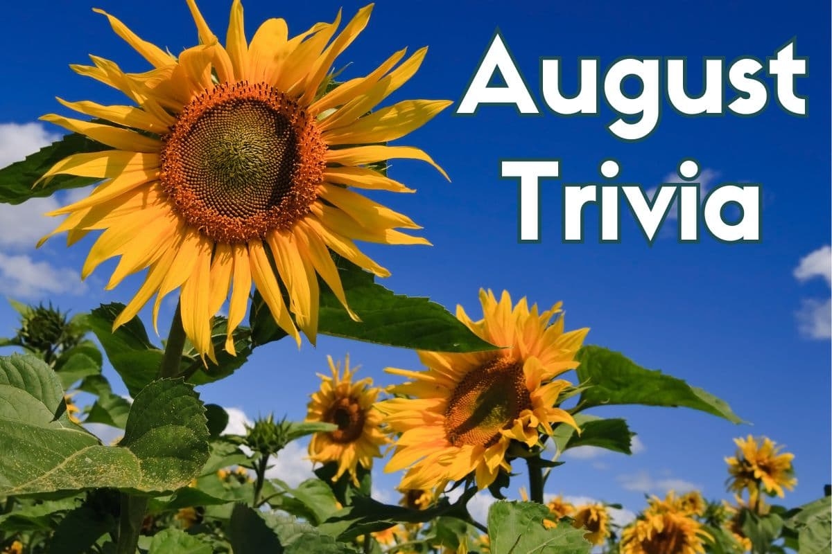 110 August Trivia Questions And Fun Facts With Answers 2025 