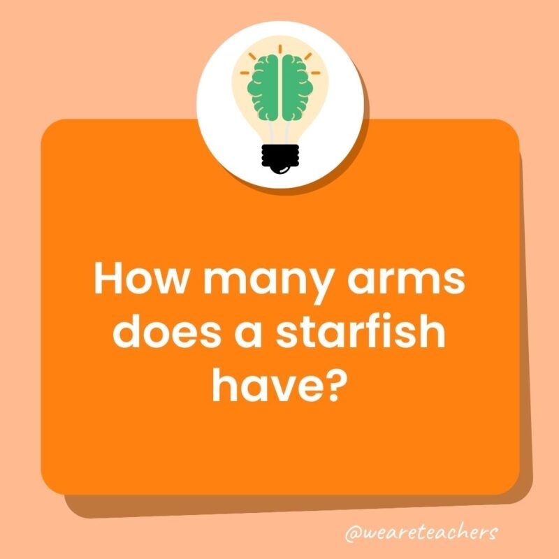 130 Trivia Questions For Kids Of All Grade Levels