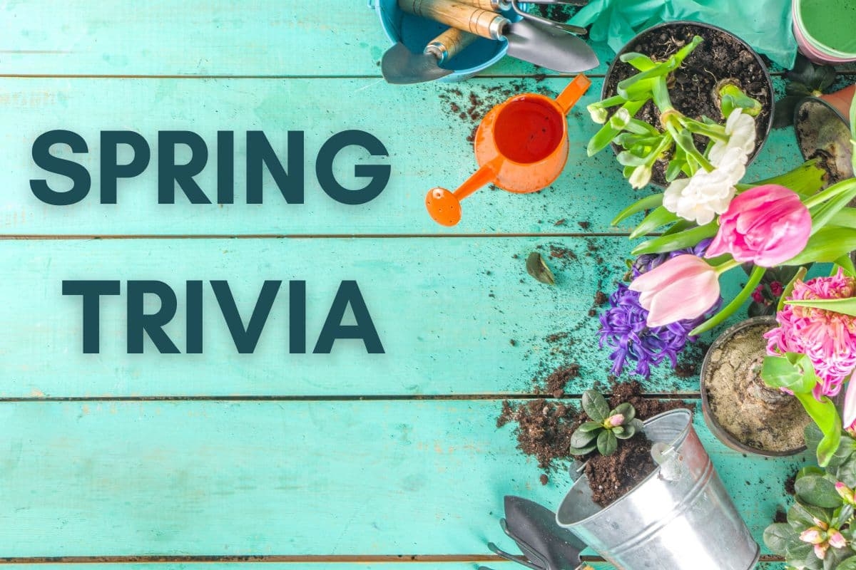 140 Spring Trivia Questions To Spring Into Fun In 2025