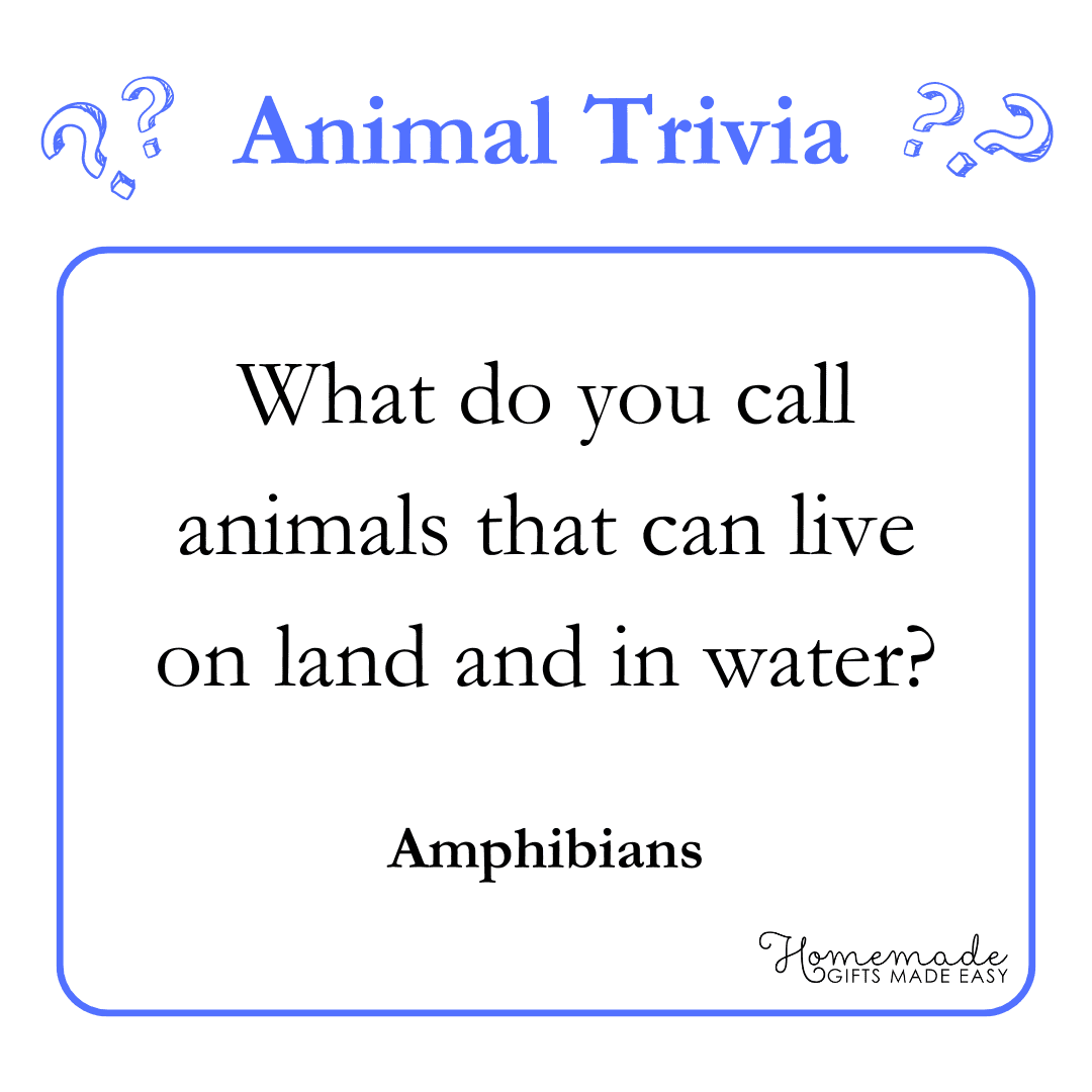 200 Best Trivia Questions Plus Free Printable Trivia Game PDF 