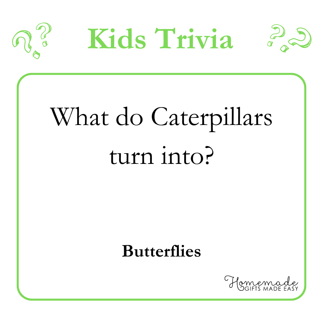 200 Best Trivia Questions Plus Free Printable Trivia Game PDF 