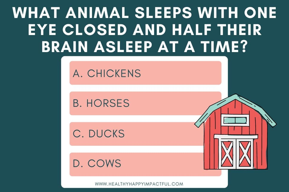 210 Best Animal Trivia Questions And Answers 2025 Healthy Happy Impactful