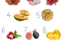 50 Food Trivia Questions Printable Picture Round 2025 Quiz