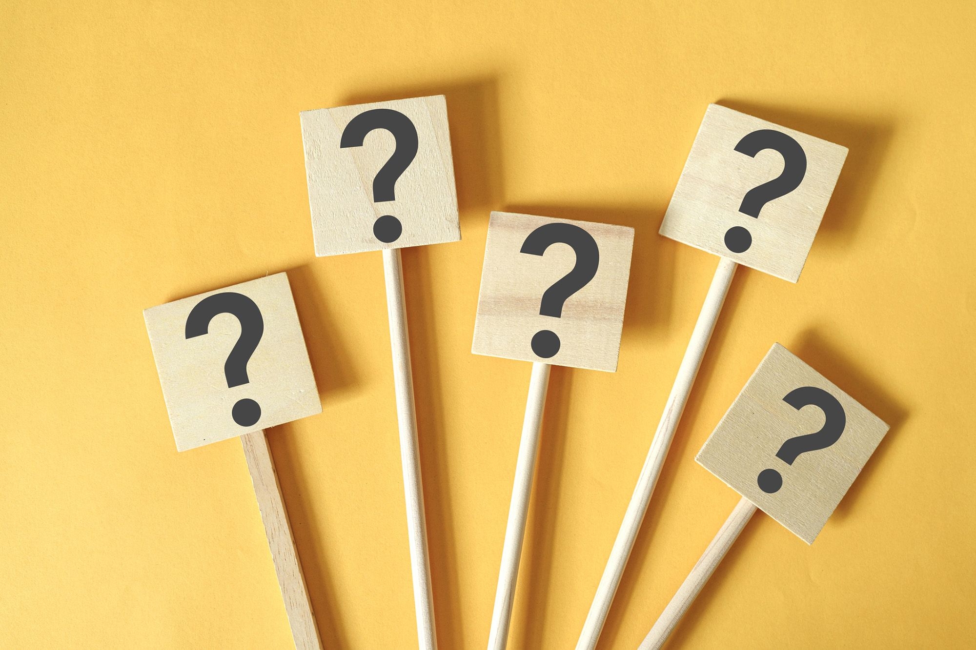 50 Pub Quiz Questions And Answers About 2024