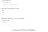 Anacondas Quiz Worksheet For Kids Study