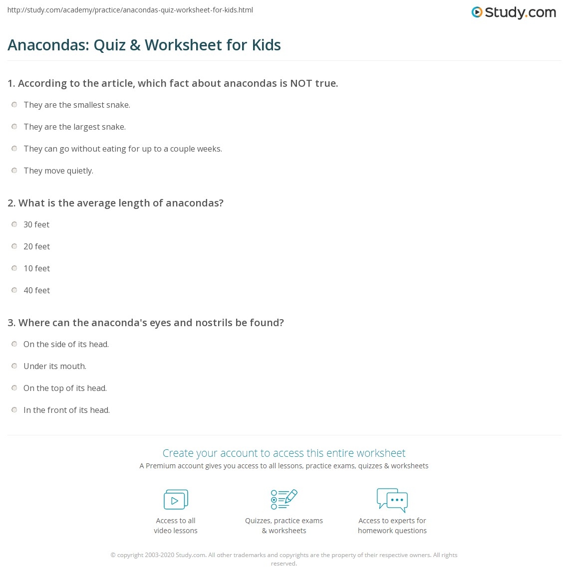 Anacondas Quiz Worksheet For Kids Study