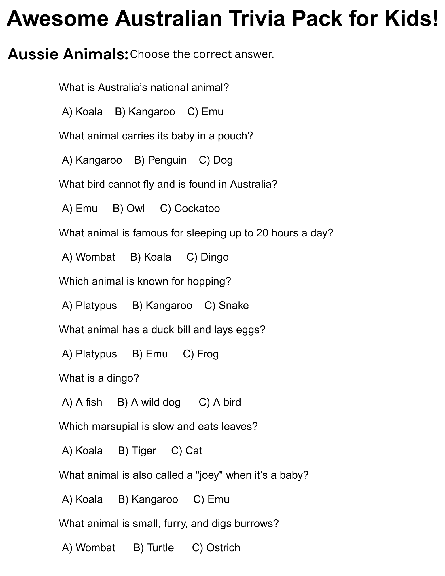 Australian Trivia Questions For Kids Fun Trivia Questions About Australia Made By Teachers