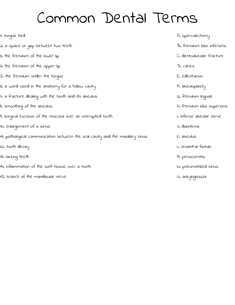 Common Dental Terms Worksheet WordMint