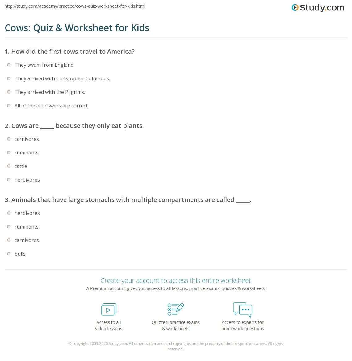 Cows Quiz Worksheet For Kids Study