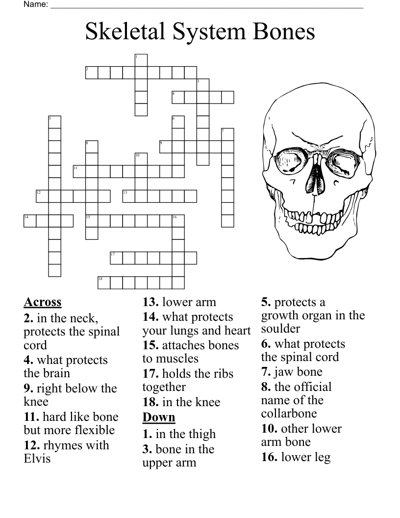 Elvis Trivia Crossword WordMint