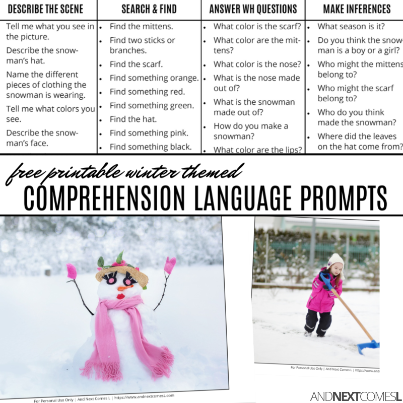 Free Printable Winter Themed Comprehension Language Prompts And Next Comes L Hyperlexia Resources