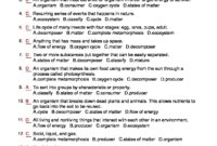 Grade 5 Science Terms Quiz 5 Answers Knowledge Crosses FREE Worksheets Library