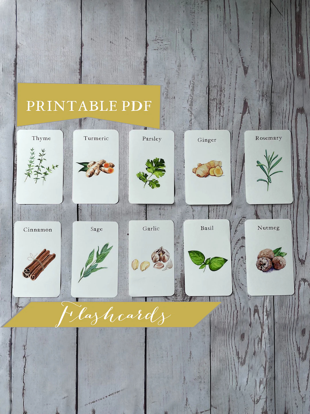 Herb Flash Cards For Kids Printable Nature Study Homeschooling Materials Educational Art Set Of 12 Watercolor Flashcards Etsy