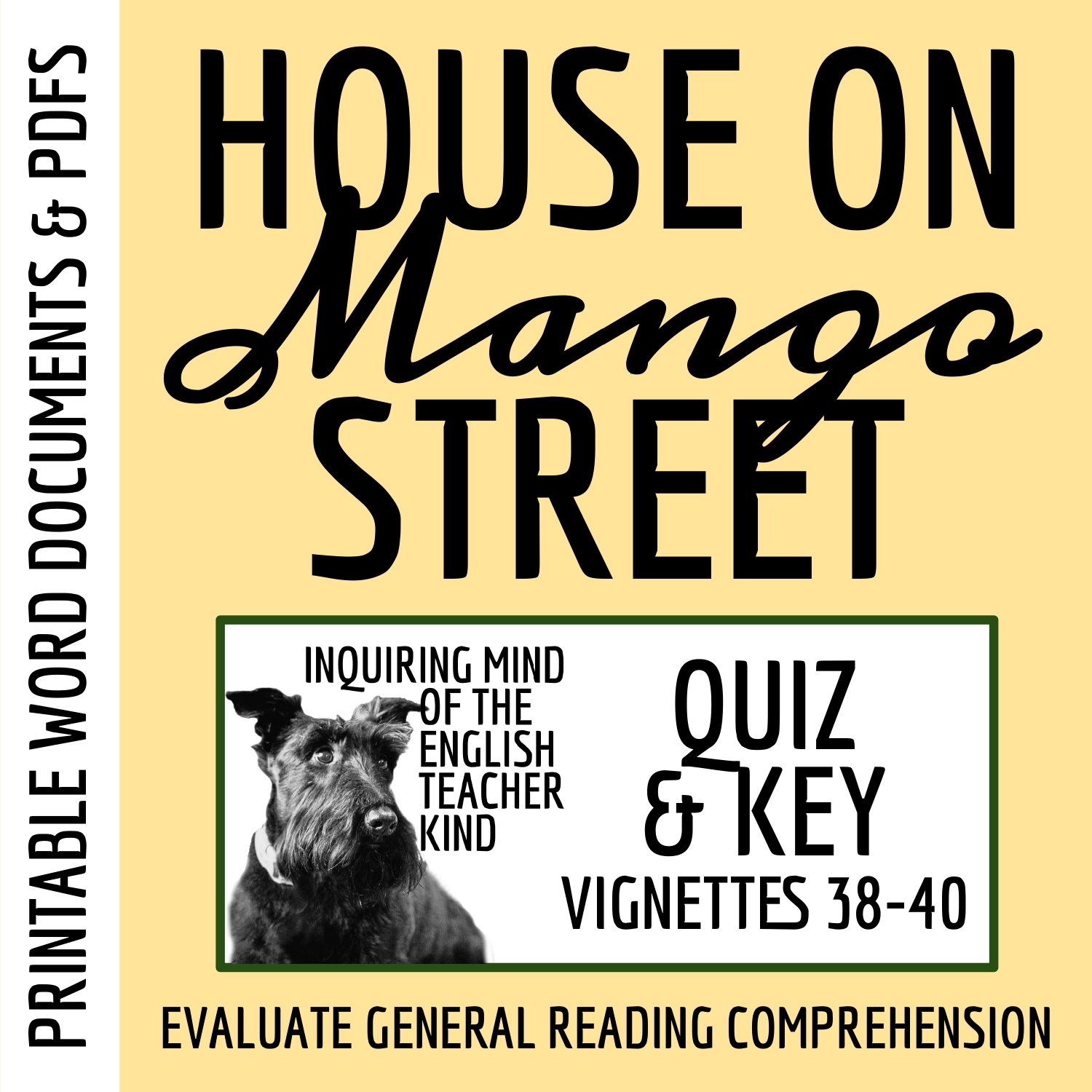 House On Mango Street Quiz And Close Reading Worksheets Bundle Vignettes 38 40 Made By Teachers