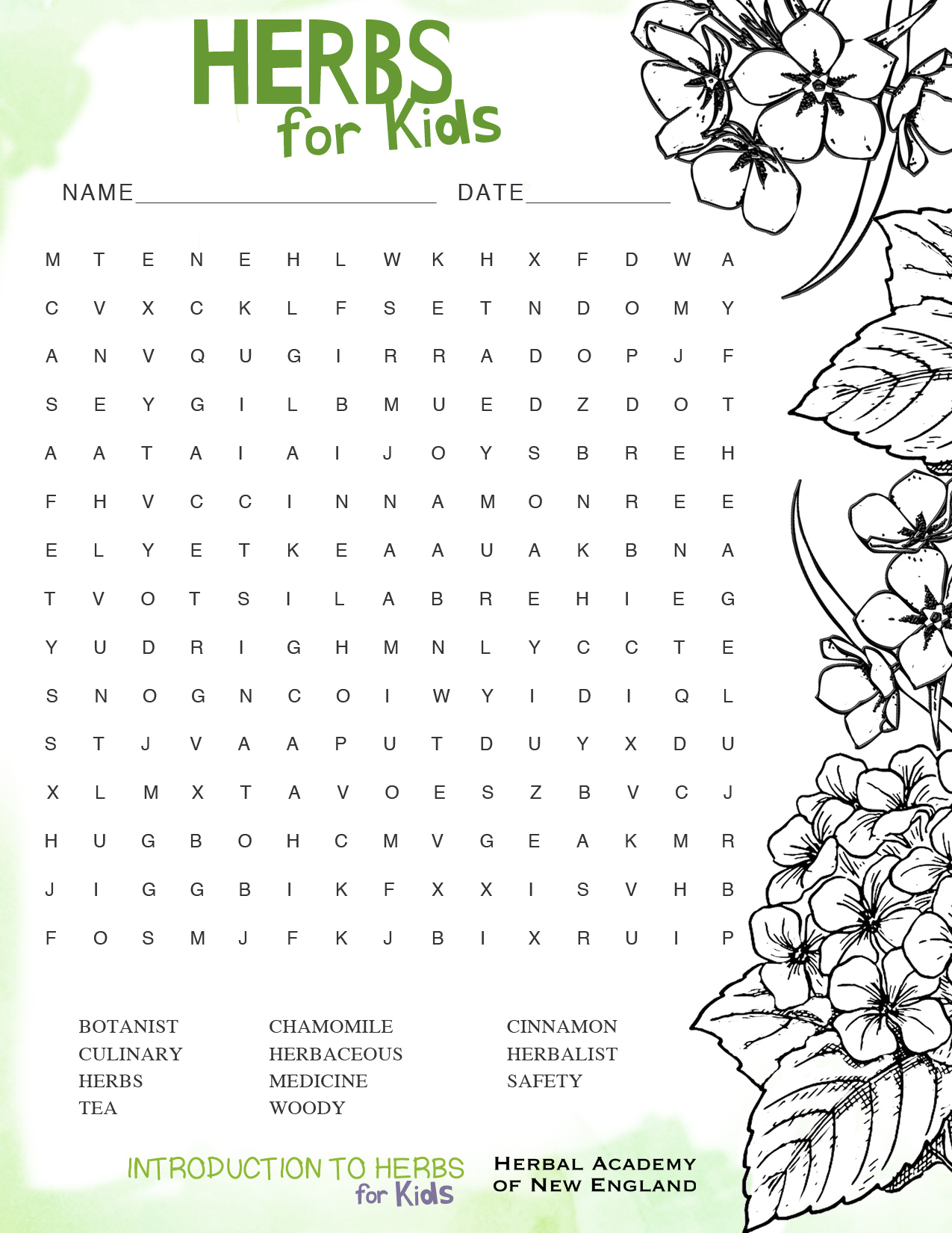 Introduction To Herbs For Kids Meet My Friend Herb 