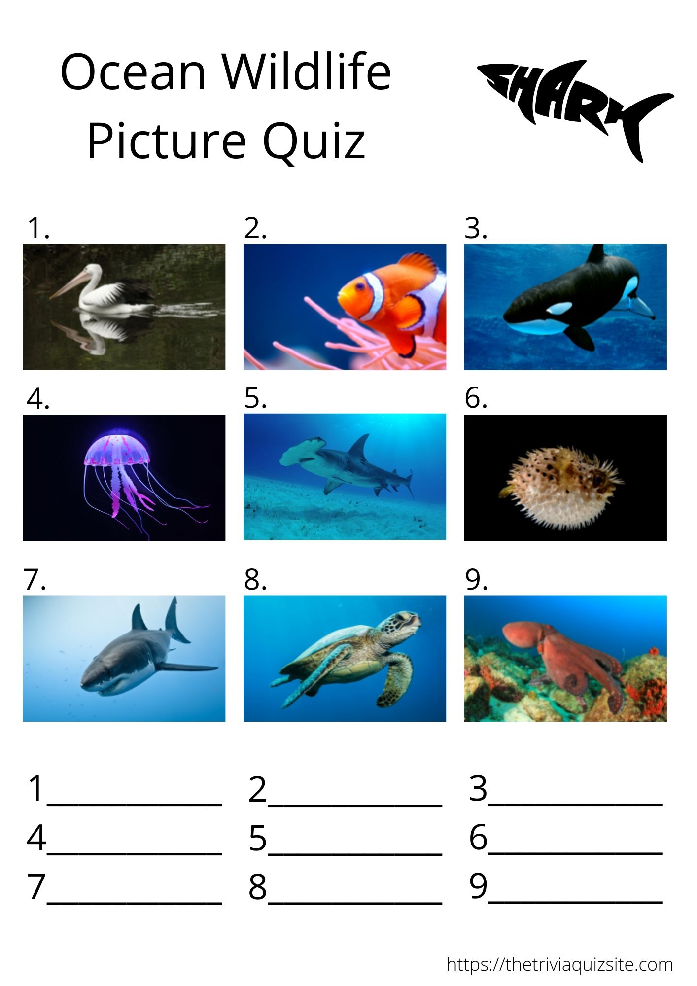 Picture Quiz Rounds Free Downloadable Trivia For Your Next Pub Quiz The Trivia Quiz Site