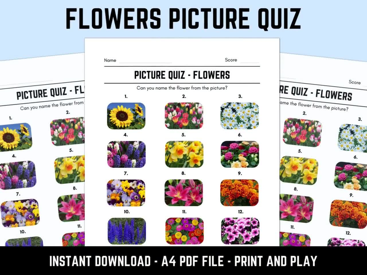 Printable Picture Questions and Answers