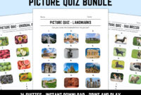 Printable Picture Quiz Bundle 16 Picture Quizzes With Answers Etsy