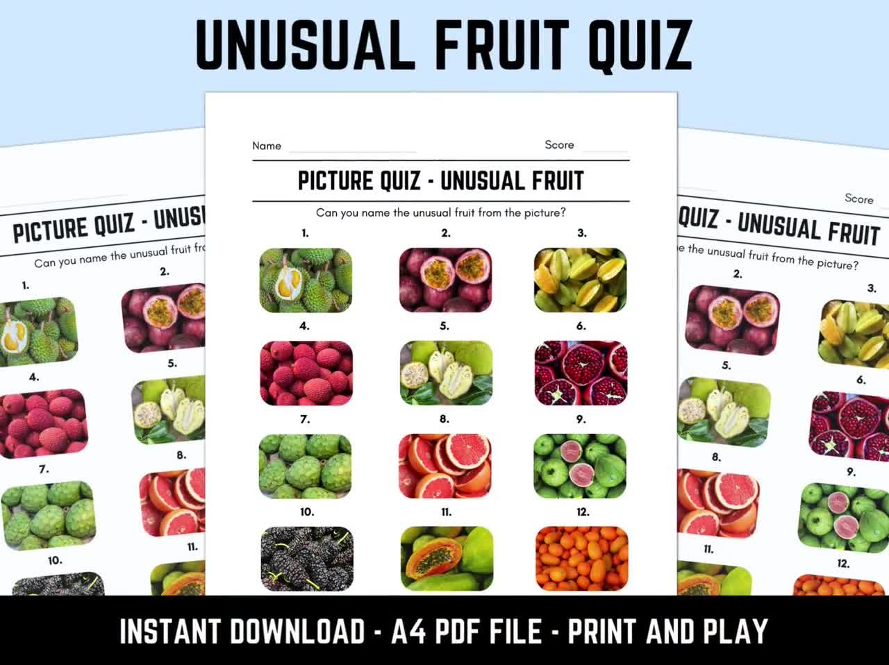Free Printable Picture Quiz with Answers