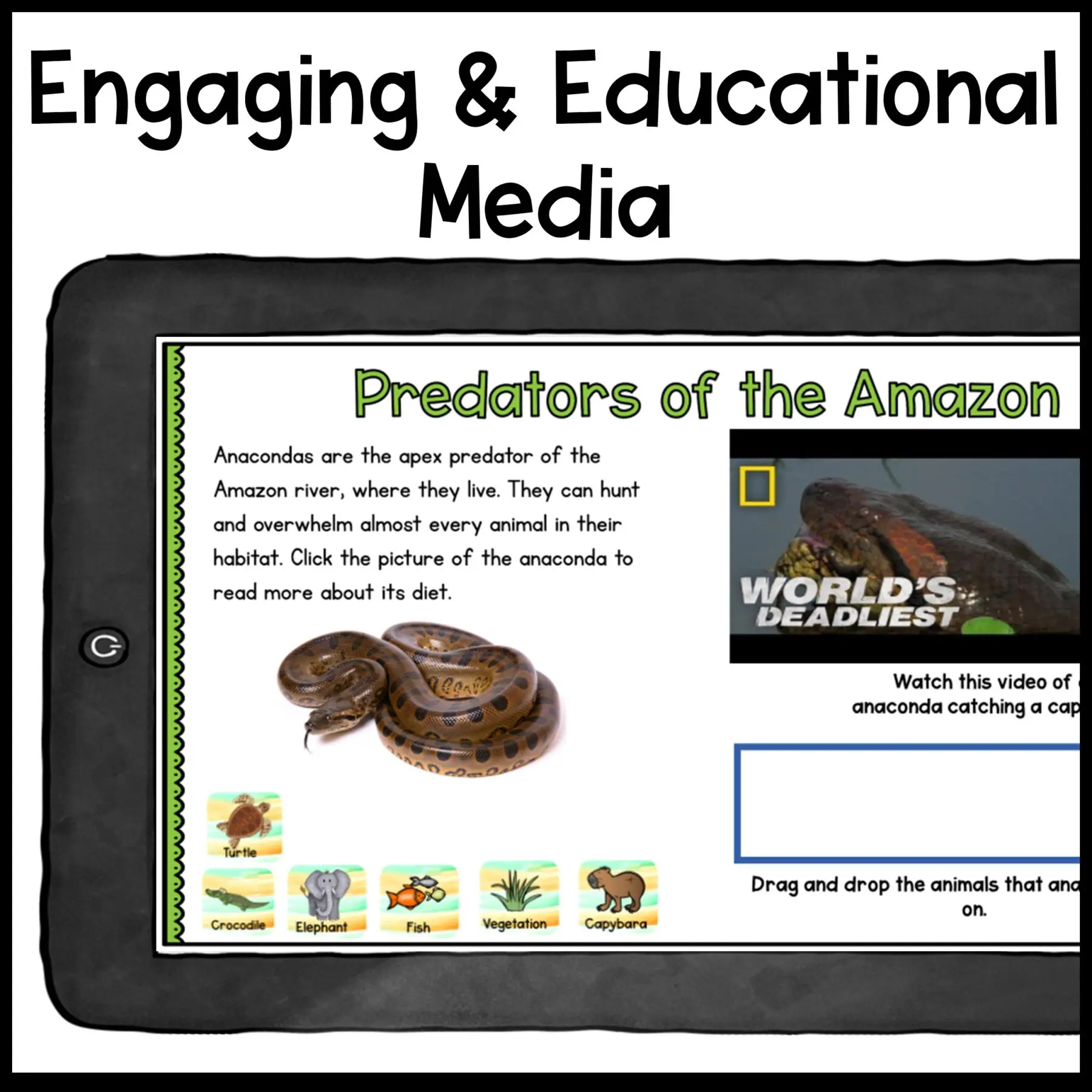 Research Webquest Anacondas In Google Slides CCK