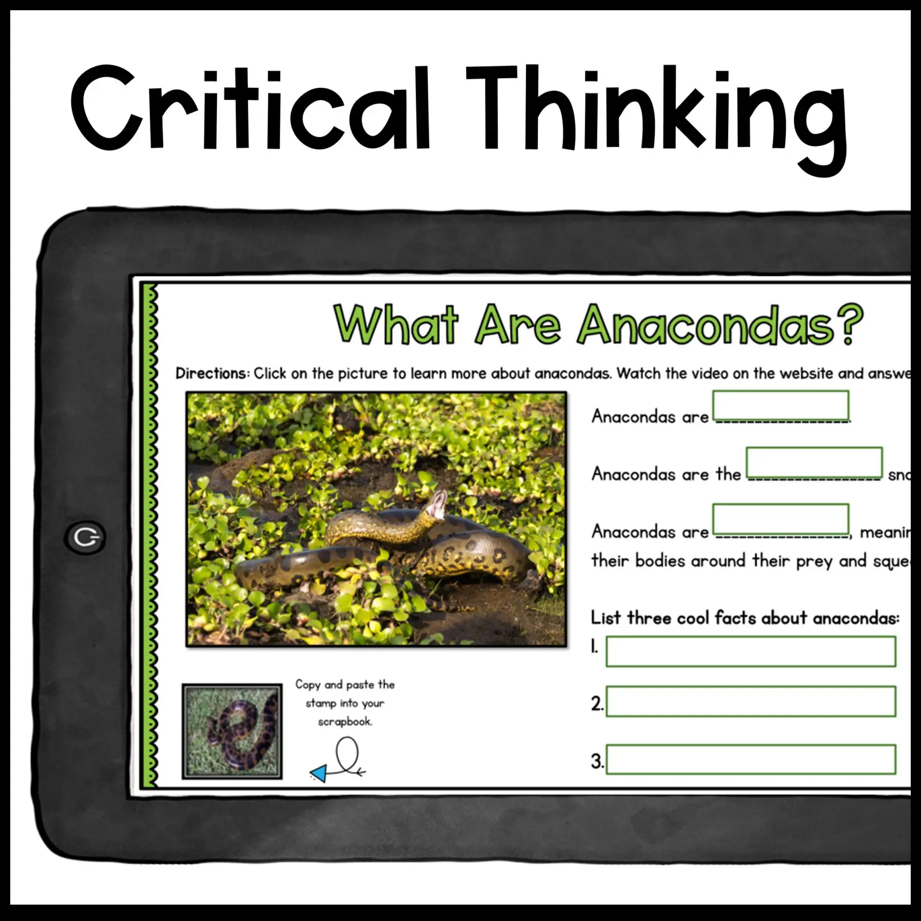 Research Webquest Anacondas In Google Slides CCK