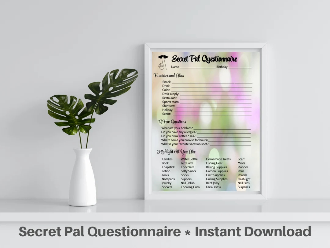 Secret Pal Questionnaire 10 Question Sheets For Secret Santa Teacher Pals Office Co workers Planning Made Easy By Lay Lake Design Etsy