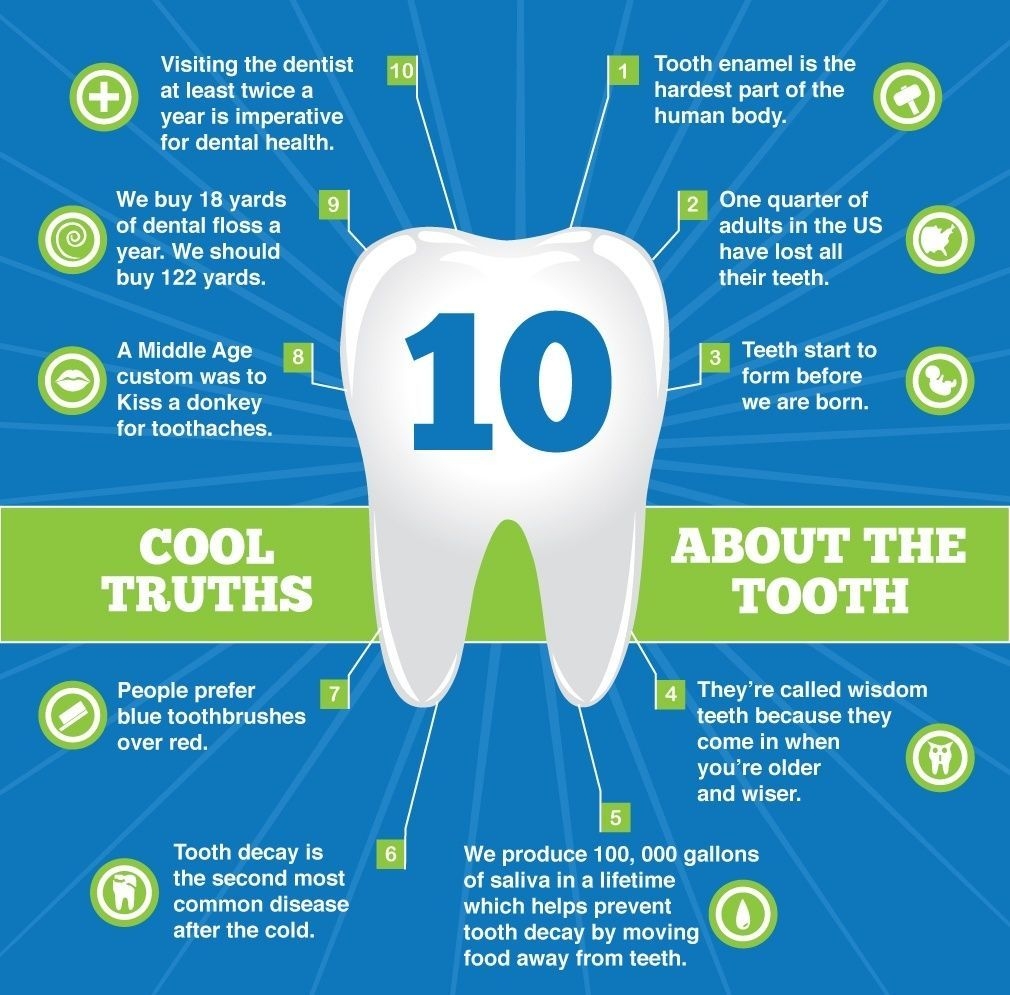 The Best Tooth Trivia Turner Dental Care Jeff Turner DDS