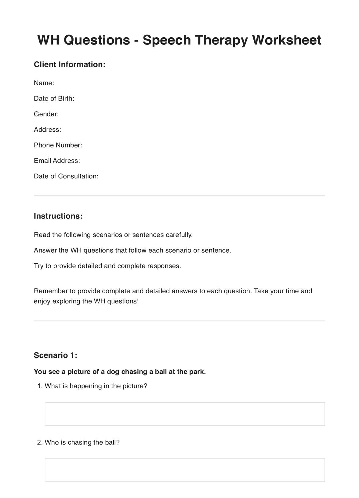 WH Questions Worksheet