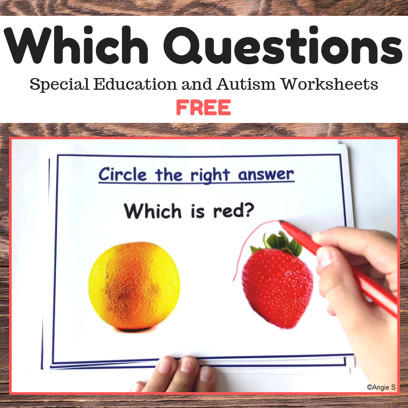 Which Questions Wh Questions FREE Made By Teachers Worksheets Library