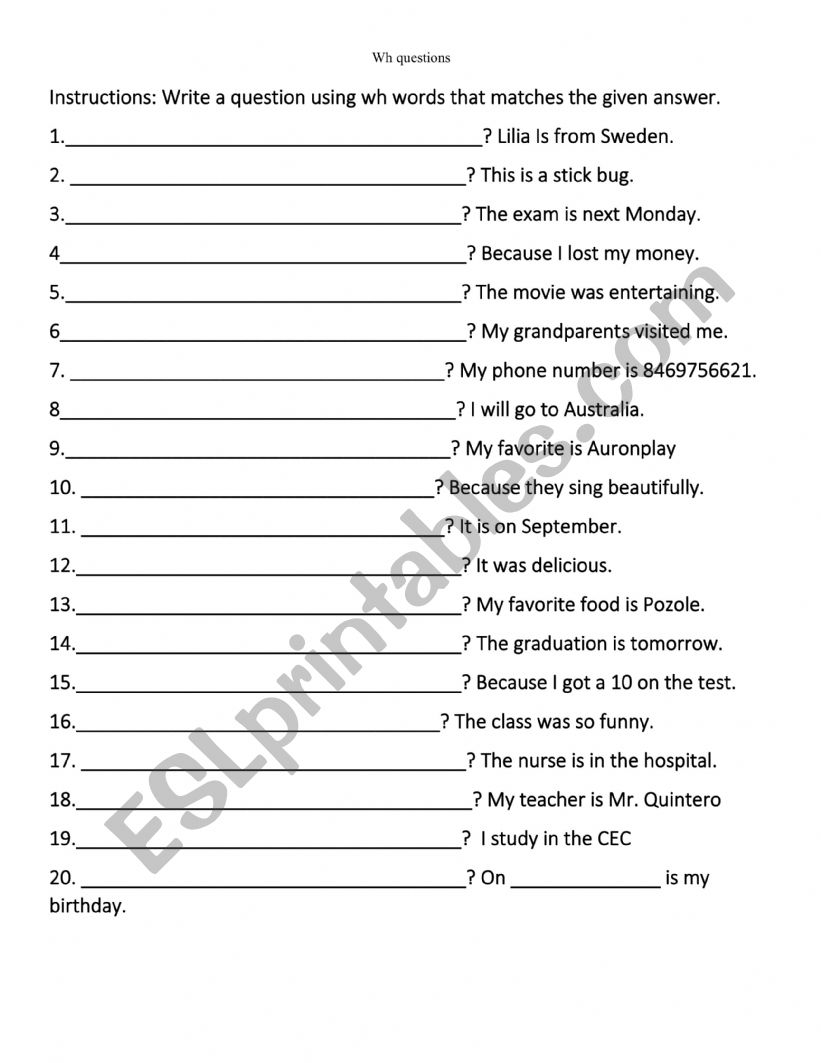 Printable Wh-Question Worksheets